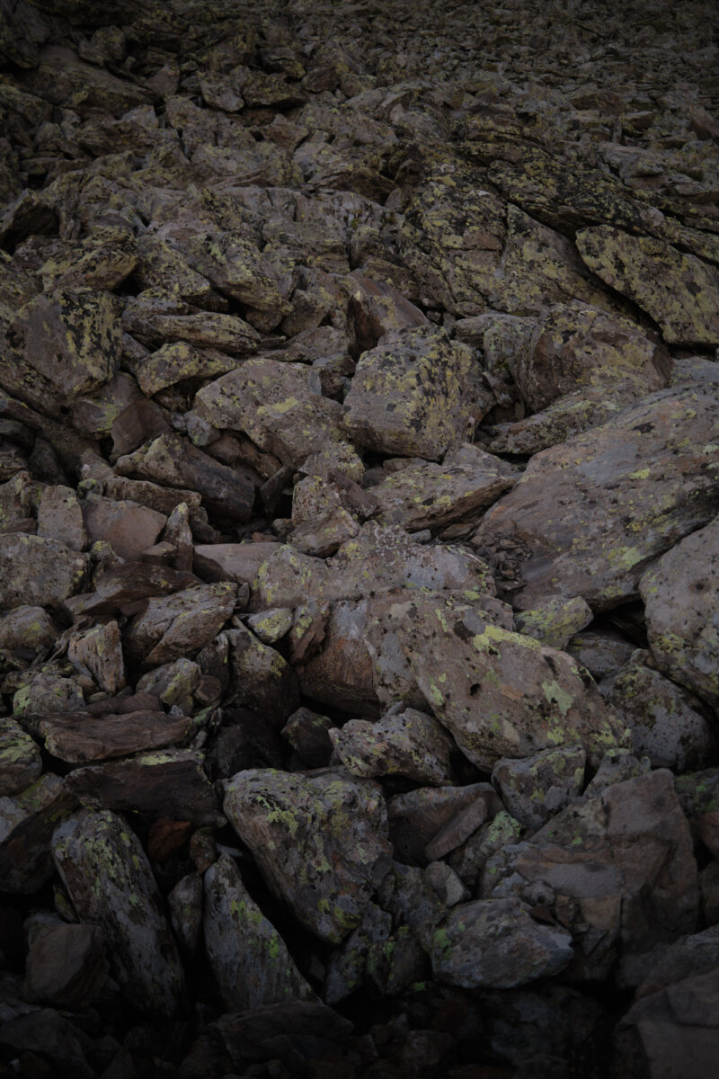 Textures - Hello, I am Barnie.