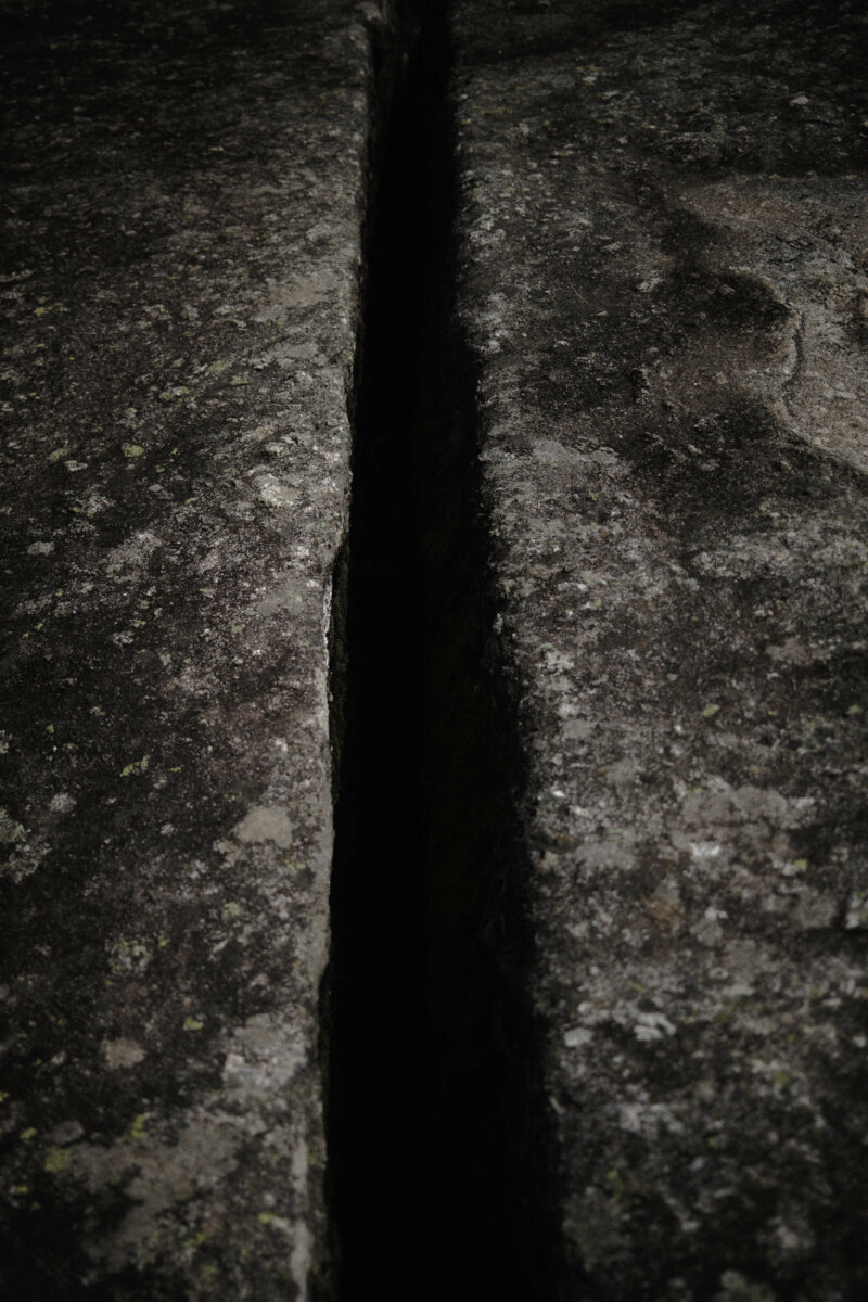 Textures - Hello, I am Barnie.
