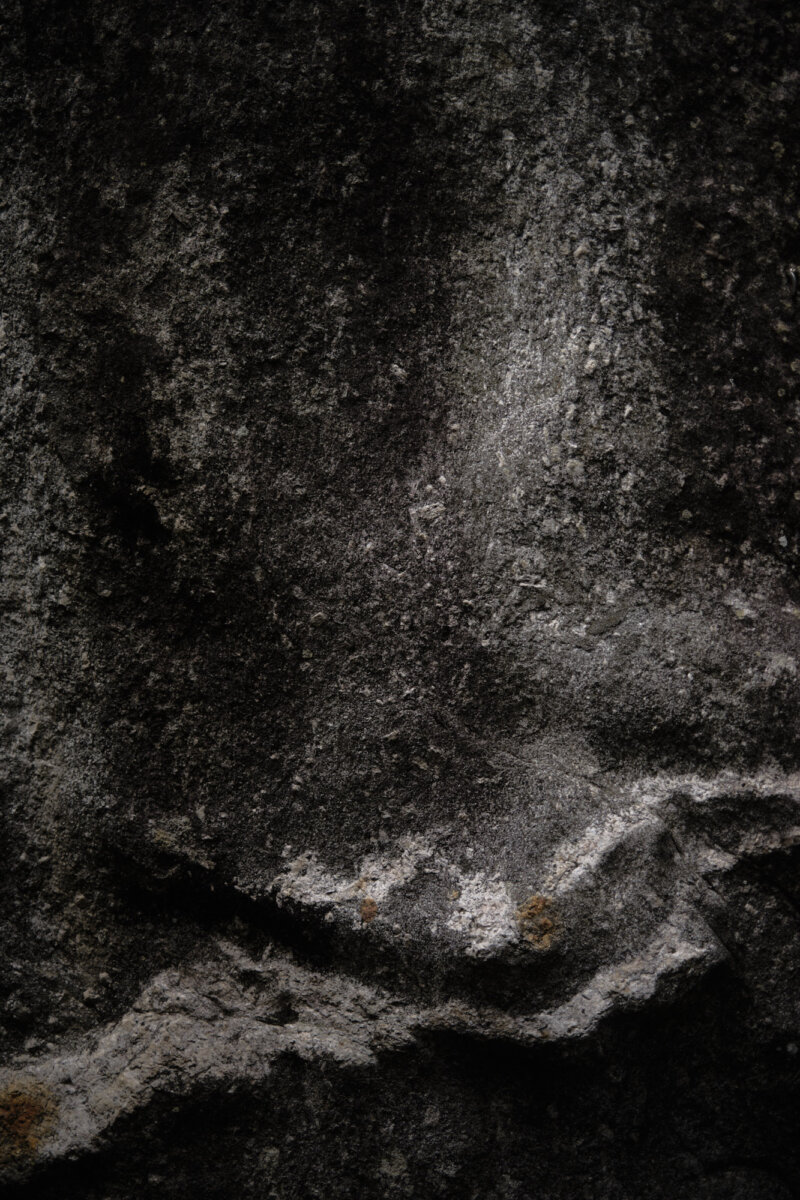 Textures - Hello, I am Barnie.